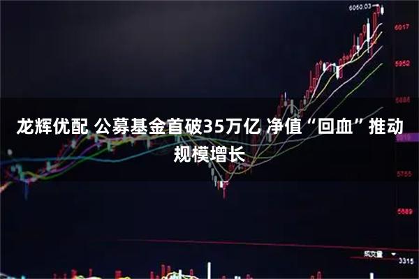 龙辉优配 公募基金首破35万亿 净值“回血”推动规模增长