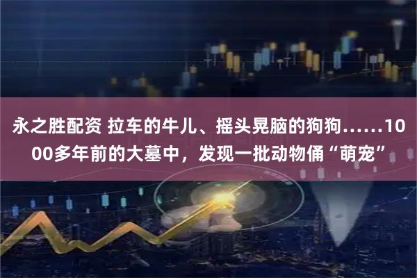 永之胜配资 拉车的牛儿、摇头晃脑的狗狗……1000多年前的大墓中，发现一批动物俑“萌宠”