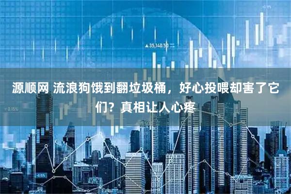源顺网 流浪狗饿到翻垃圾桶，好心投喂却害了它们？真相让人心疼