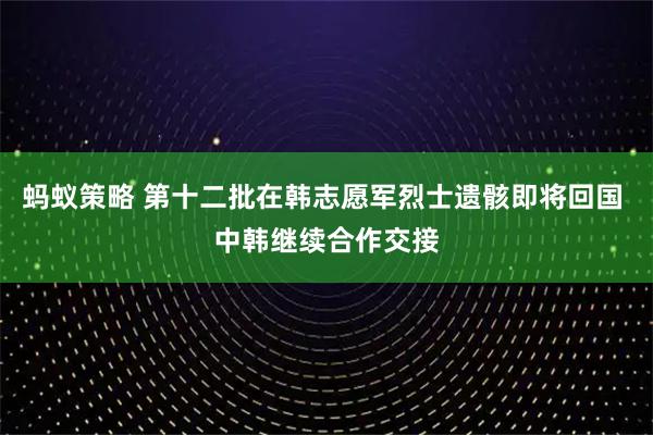 蚂蚁策略 第十二批在韩志愿军烈士遗骸即将回国 中韩继续合作交接