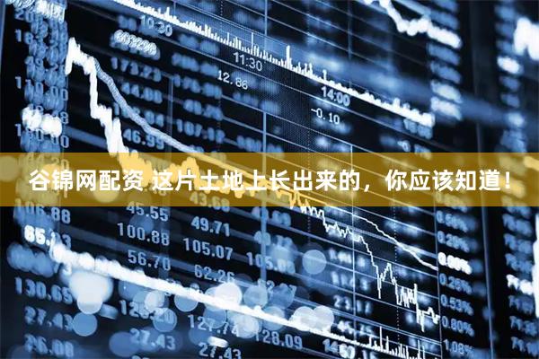 谷锦网配资 这片土地上长出来的，你应该知道！