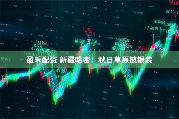 盈禾配资 新疆哈密：秋日草原披银装