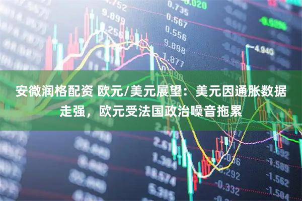 安微润格配资 欧元/美元展望：美元因通胀数据走强，欧元受法国政治噪音拖累