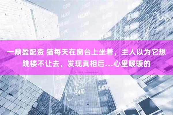 一鼎盈配资 猫每天在窗台上坐着，主人以为它想跳楼不让去，发现真相后…心里暖暖的