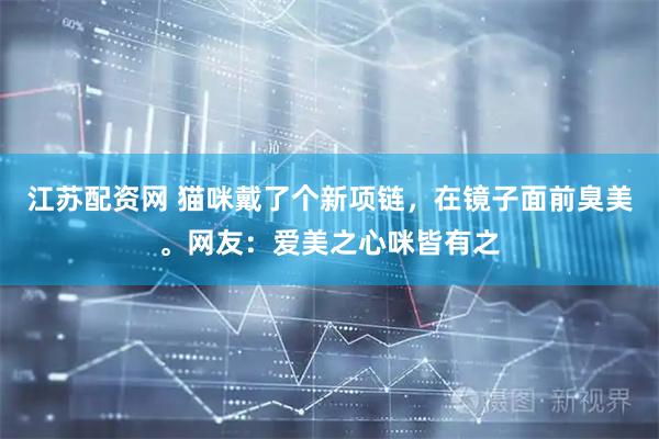 江苏配资网 猫咪戴了个新项链，在镜子面前臭美。网友：爱美之心咪皆有之
