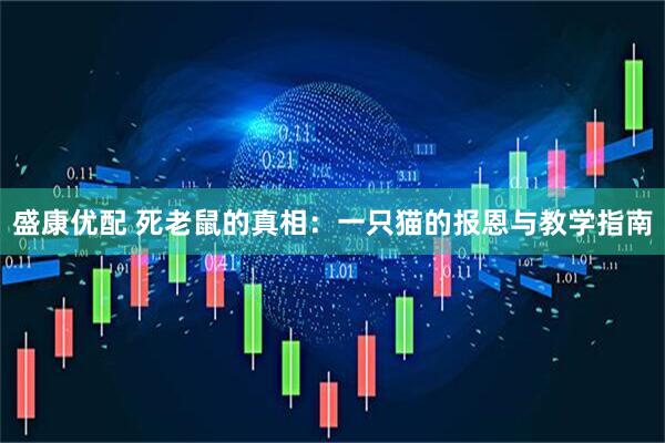 盛康优配 死老鼠的真相：一只猫的报恩与教学指南
